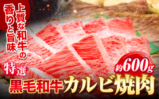 黒毛和牛 特選 カルビ 焼肉 約600g《30日以内に出荷予定(土日祝除く)》大阪府 羽曳野市 送料無料 牛肉 牛 和牛 焼き肉用 焼き肉