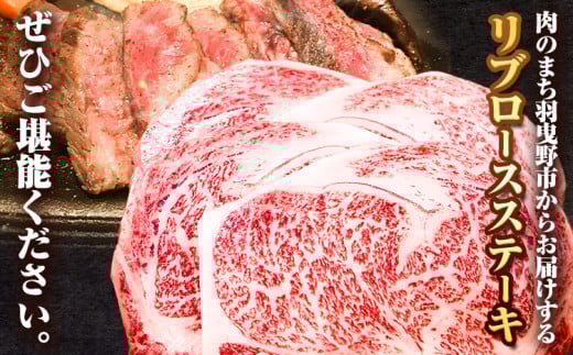 黒毛和牛 特選 リブロースステーキ 250g × 4枚 エムエスエイ (株)《30日以内に出荷予定(土日祝除く)》大阪府 羽曳野市 送料無料 リブロース ステーキ ロース 牛 和牛 牛肉