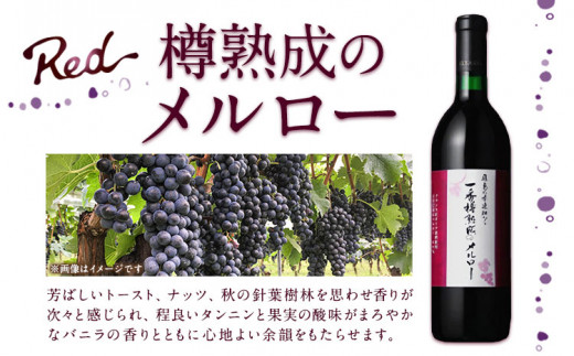 飛鳥の秀逸畑シリーズ 750ml×3本 デラウェア シャルドネ メルロー (株)飛鳥ワイン《30日以内に出荷予定(土日祝除く)》大阪府 羽曳野市 飛鳥ワイン 秀逸畑シリーズ アルコール ワイン 白ワイン 赤ワイン 酒