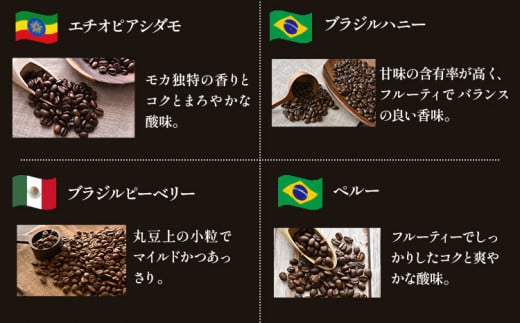 世界の 珈琲豆 10種類 飲み比べセット（挽）＆古墳珈琲ドリップバッグ1袋 株式会社ばいせん工房 珈琲倶楽部《30日以内に出荷予定(土日祝除く)》大阪府 羽曳野市 コーヒー 珈琲