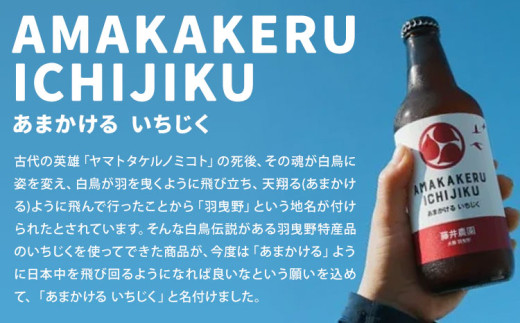 いちじくのクラフトビール 3本セット 330ml × 3本 藤井農園《30日以内に出荷予定(土日祝除く)》大阪府 羽曳野市 いちじく ビール 酒 イチジク 飲み物 ドリンク