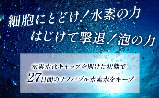 ナノバブル水素水 ペットボトル 約500ml 30本 株式会社ヒロシバ《30日以内に出荷予定(土日祝除く)》大阪府 羽曳野市 送料無料 水素水 肌 美容 健康 水