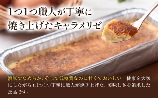 低糖質 贅沢 カタラーナ 2本 大きい BIGサイズ ヘルシースイーツ工房マルベリー《30日以内に出荷予定(土日祝除く)》大阪府 羽曳野市 スイーツ デザート アイスクリーム アイス