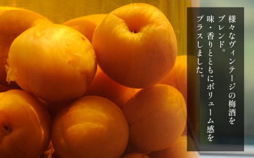 GOLDEN PARTY ゴールデンパーティ 720ml × 1本 スパークリング梅酒 株式会社河内ワイン《30日以内に出荷予定(土日祝除く)》アルコール ワイン 梅酒 酒 大阪府 羽曳野市