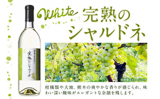 飛鳥の秀逸畑シリーズ 750ml×3本 デラウェア シャルドネ メルロー (株)飛鳥ワイン《30日以内に出荷予定(土日祝除く)》大阪府 羽曳野市 飛鳥ワイン 秀逸畑シリーズ アルコール ワイン 白ワイン 赤ワイン 酒