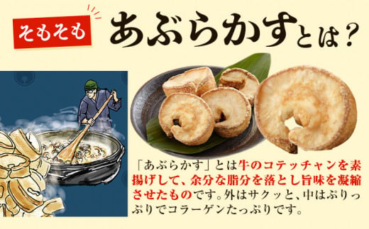 あぶらかす 500g 株式会社龍工房《30日以内に出荷予定(土日祝除く)》大阪府 羽曳野市 あぶらかす 大阪府羽曳野市産 小腸 揚げ物 油かす