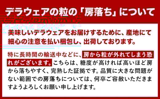 デラウェア【2026年先行予約】【一大産地からのお届け】デラウェア 約1.5kg《2026年7月上旬-8月中旬頃出荷》デラウェア ぶどう 葡萄 ブドウ デラウェア デラウェア ぶどう 葡萄 ブドウ デラウェア デラウェア ぶどう 葡萄 ブドウ デラウェア デラウェア ぶどう 葡萄 ブドウ デラウェア デラウェア ぶどう 葡萄 ブドウ デラウェア 