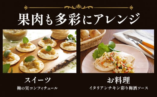 The CHOYA è³æ¥µã®æ¢
650ml à 2æ¬ çŸœæ³éåå·¥æ¯èæ ªåŒäŒç€Ÿã30æ¥ä»¥å
ã«åºè·äºå®(忥ç¥é€ã)ã倧éªåº 矜æ³éåž éæç¡æ æ¢
é
æ¢
é
CHOYA ãã§ãŒã€ ãã§ãŒã€æ¢
é
ãé
çŽå· å髿¢