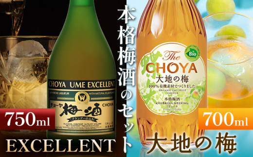THE CHOYA 大地の梅 700ml EXCELLENT エクセレント 750ml 計2本 セット 飲み比べ 羽曳野商工振興株式会社《30日以内に出荷予定(土日祝除く)》大阪府 羽曳野市 送料無料 梅酒 梅 酒 CHOYA チョーヤ チョーヤ梅酒 お酒 紀州 南高梅