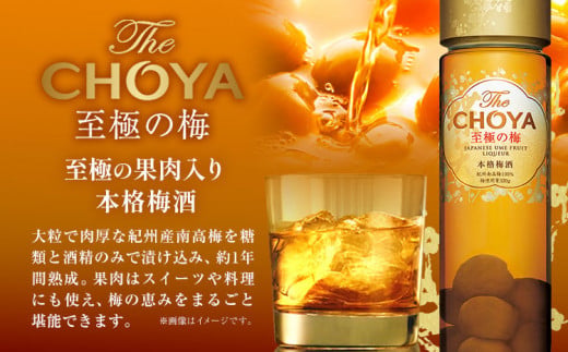 THE CHOYA CRAFT FRUIT 700ml 至極の梅 650ml 計2本 セット 飲み比べ 羽曳野商工振興株式会社《30日以内に出荷予定(土日祝除く)》大阪府 羽曳野市 送料無料 梅酒 梅 酒 CHOYA チョーヤ チョーヤ梅酒 お酒 クラフトフルーツ クラフト 至極の梅