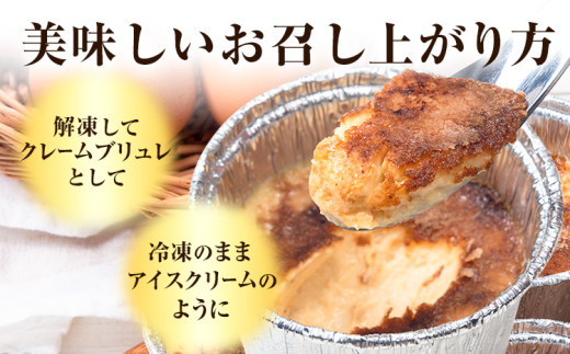 低糖質 濃厚 クレームブリュレ （プレーン） 10個 ヘルシースイーツ工房マルベリー《30日以内に出荷予定(土日祝除く)》大阪府 羽曳野市 スイーツ デザート クレームブリュレ アイスクリーム アイス 低糖質スイーツ 低糖質デザート 低糖質ダイエット 糖質制限ダイエット 糖質制限スイーツ 糖尿病ダイエット 糖尿病スイーツ