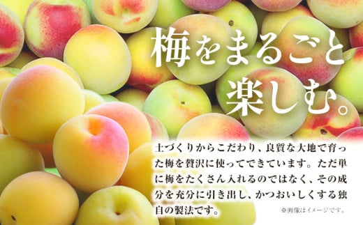 CHOYA うめほのり セット 1000ml × 6本 箱入り 羽曳野商工振興株式会社《30日以内に出荷予定(土日祝除く)》大阪府 羽曳野市 梅酒 アルコール 梅 酒 CHOYA チョーヤ チョーヤ梅酒 お酒