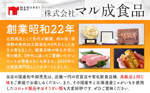 プレミアム和牛ハンバーグ 5個入 マル成食品《30日以内に出荷予定(土日祝除く)》大阪府 羽曳野市 牛肉 惣菜 おかず 冷凍 肉 ハンバーグ 黒毛和牛