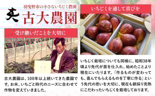 お試し 朝採りいちじくを使ったドライいちじく 約60g 古大農園《30日以内に出荷予定(土日祝除く)》大阪府 羽曳野市 いちじく 無花果 フルーツ 果物 ドライフルーツ 添加物不使用 st-p