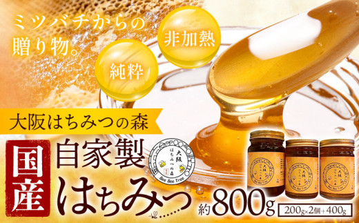 蜂蜜 自家製はちみつ 計800g ( 約200g × 2個 ＋ 400g ) 大阪はちみつの森《30日以内に出荷予定(土日祝除く)》大阪府 羽曳野市 はちみつ スイーツ 加工食品