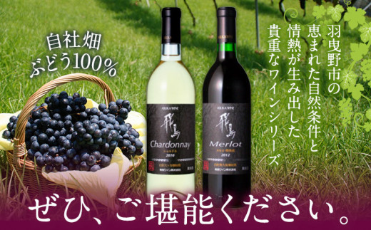 自社畑ぶどう100%赤白セット 750ml×2本 シャルドネ メルロー (株)飛鳥ワイン《30日以内に出荷予定(土日祝除く)》大阪府 羽曳野市 飛鳥ワイン 秀逸畑シリーズ アルコール ワイン 白ワイン 赤ワイン 酒 セット