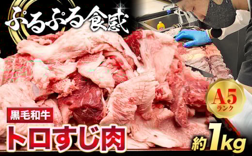 黒毛和牛 トロすじ肉 約1kg 牛魔王デミート《30日以内に出荷予定(土日祝除く)》大阪府 羽曳野市 送料無料 牛肉 牛 和牛 牛すじ肉 牛すじ 煮込み料理 おでん カレー