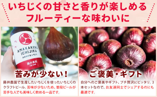 いちじくのクラフトビール 3本セット 330ml × 3本 藤井農園《30日以内に出荷予定(土日祝除く)》大阪府 羽曳野市 いちじく ビール 酒 イチジク 飲み物 ドリンク