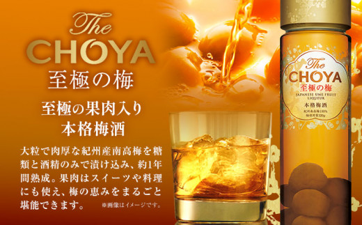 THE CHOYA 至極の梅 650ml EXCELLENT エクセレント 750ml 計2本 セット 飲み比べ 羽曳野商工振興株式会社《30日以内に出荷予定(土日祝除く)》大阪府 羽曳野市 送料無料 梅酒 梅 酒 CHOYA チョーヤ チョーヤ梅酒 お酒 紀州 南高梅