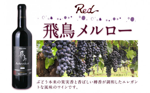 自社畑ぶどう100%赤白セット 750ml×2本 シャルドネ メルロー (株)飛鳥ワイン《30日以内に出荷予定(土日祝除く)》大阪府 羽曳野市 飛鳥ワイン 秀逸畑シリーズ アルコール ワイン 白ワイン 赤ワイン 酒 セット