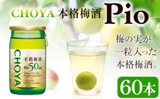 本格梅酒 Pio 飲みきりサイズ 50ml 60本 羽曳野商工振興株式会社《30日以内に出荷予定(土日祝除く)》大阪府 羽曳野市 梅酒 梅 酒 CHOYA チョーヤ チョーヤ梅酒 お酒 pio