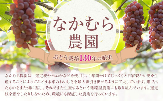 【先行予約】しめ飾り モダン干支×モダンダリア 有限会社なかむら農園《12月中旬-下旬頃出荷》大阪府 羽曳野市 送料無料 正月飾り リース しめ縄 オシャレ モダン