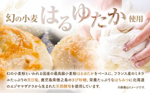 ベーグル 人気 ベーグル 詰め合わせ 10個 セット cot BAGEL STAND《90日以内に出荷予定(土日祝除く)》大阪府 羽曳野市 パン 手作り 店主厳選 こだわり はるゆたか 惣菜パン コットベーグルスタンド