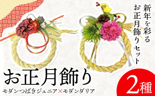 【先行予約】しめ飾り モダンつばきジュニア×モダンダリア 有限会社なかむら農園《12月中旬-下旬頃出荷》大阪府 羽曳野市 送料無料 正月飾り リース しめ縄 オシャレ モダン