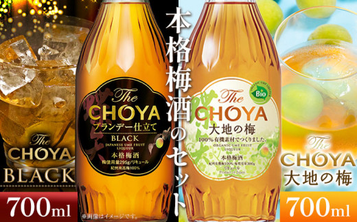 The CHOYA BLACK 700ml The CHOYA 大地の梅 700ml 計2本 セット 飲み比べ 羽曳野商工振興株式会社《30日以内に出荷予定(土日祝除く)》大阪府 羽曳野市 送料無料 梅酒 梅 酒 CHOYA チョーヤ チョーヤ梅酒 お酒 紀州 南高梅 black