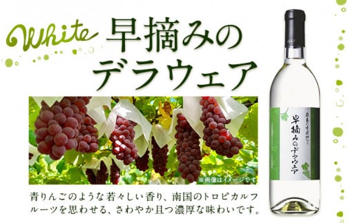 飛鳥の秀逸畑シリーズ 750ml×3本 デラウェア シャルドネ メルロー (株)飛鳥ワイン《30日以内に出荷予定(土日祝除く)》大阪府 羽曳野市 飛鳥ワイン 秀逸畑シリーズ アルコール ワイン 白ワイン 赤ワイン 酒