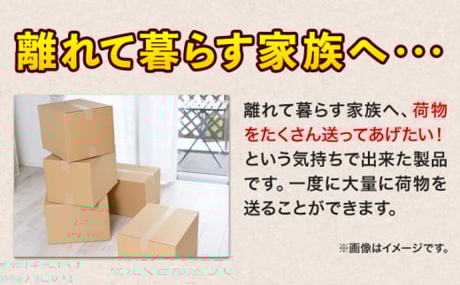 宅袋とくとくパック 160 サイズ 2個入 関西紙工《30日以内に出荷予定(土日祝除く)》大阪府 羽曳野市 圧縮袋 梱包用紙袋 クラフトテープ 宅配袋 宅配 圧縮 送料無料【配送不可地域あり】