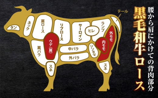黒毛和牛 ロース ブロック 特選 1kg エムエスエイ (株)《30日以内に出荷予定(土日祝除く)》大阪府 羽曳野市 送料無料 牛肉 牛 和牛 ブロック肉 ステーキ