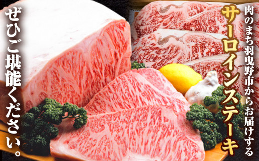 黒毛和牛 特選 サーロインステーキ 200g × 4枚 エムエスエイ (株)《30日以内に出荷予定(土日祝除く)》大阪府 羽曳野市 送料無料 サーロイン ステーキ 牛 和牛 牛肉