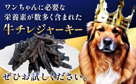 ペット 牛チレジャーキー ( 脾臓 ) 約300g 《60日以内に出荷予定(土日祝除く)》NEXT PLANNING 大阪府 羽曳野市 ペット用品 犬用 犬 ジャーキー おやつ 国産 無添加 獣医師監修 送料無料