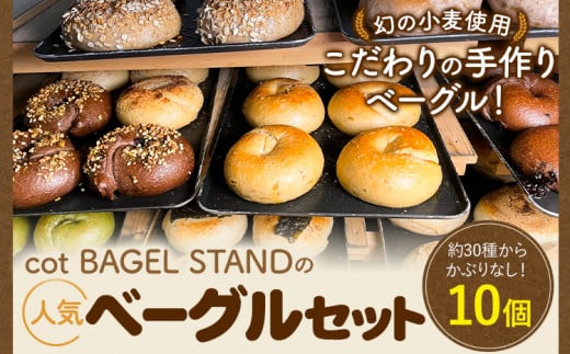 ベーグル 人気 ベーグル 詰め合わせ 10個 セット cot BAGEL STAND《90日以内に出荷予定(土日祝除く)》大阪府 羽曳野市 パン 手作り 店主厳選 こだわり はるゆたか 惣菜パン コットベーグルスタンド