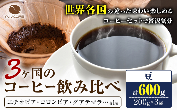 コーヒー豆 3ヶ国 飲み比べ 豆 計600g YAMACOFFEE[30日以内に出荷予定(土日祝除く)]大阪府 羽曳野市 コーヒー 豆 自家焙煎 おうちカフェ 珈琲豆