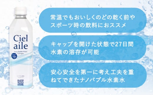 ナノバブル水素水 ペットボトル 約500ml 30本 株式会社ヒロシバ《30日以内に出荷予定(土日祝除く)》大阪府 羽曳野市 送料無料 水素水 肌 美容 健康 水