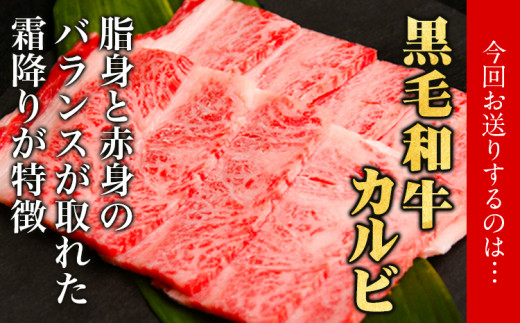 黒毛和牛 特選 カルビ 焼肉 約600g《30日以内に出荷予定(土日祝除く)》大阪府 羽曳野市 送料無料 牛肉 牛 和牛 焼き肉用 焼き肉