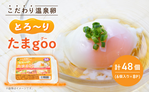 《とろ〜りたまgoo 48個》こだわり温泉卵(6個入り×8パック)【配送不可地域：離島】【1702137】
