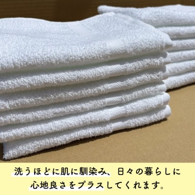 ザ・泉州タオル　ホワイト【1658043】