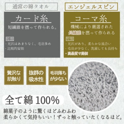 レイユールハンドタオル3枚組(スカイブルー)【1666433】