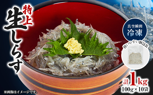 《1kg》特上新鮮生しらす(100g×10袋)漁師直送!鮮度が自慢　個包装で便利【配送不可地域：離島】【1737748】