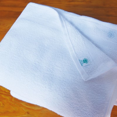 グリーンクラブ白タオル計20枚【1663414】