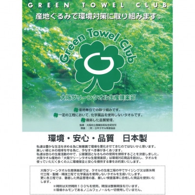 グリーンクラブ泉州透かし織トワイライトボーダータオル 計10枚【1663421】