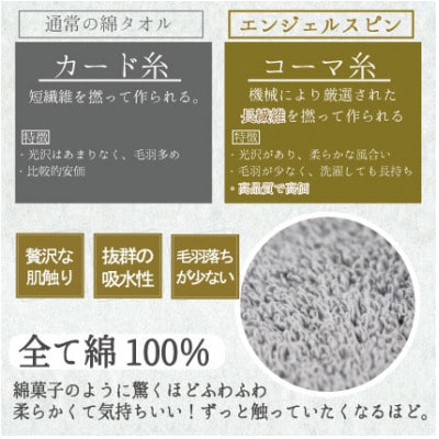 レイユールフェイスタオル2枚組(モカ)【1666415】