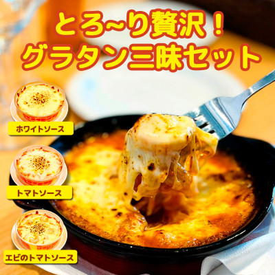 レンジで簡単!濃厚とろける　3種の贅沢グラタン(ホワイトソース・トマトソース・エビのトマトソース)　【配送不可地域：離島】【1494983】