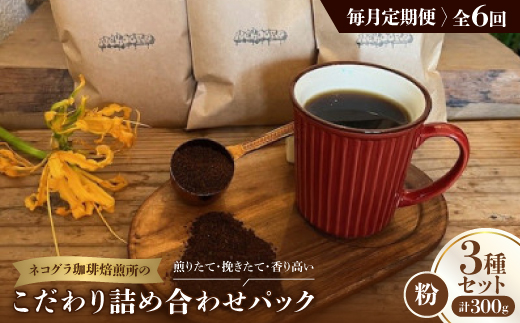 【毎月定期便】《粉3種計300g》ネコグラ珈琲焙煎所の煎りたて挽きたてコーヒーセット全6回【4064366】