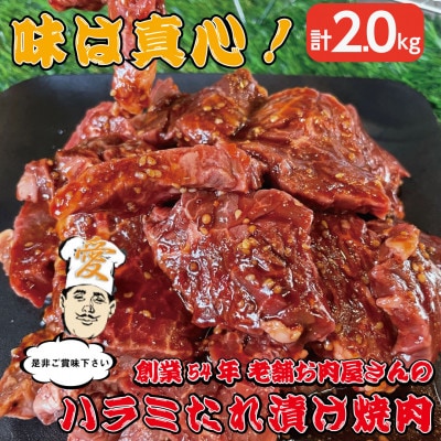 《約2.0kg》当店注文率No.1のハラミたれ漬け焼肉(甘口しょうゆ味)　BBQ用に人気【配送不可地域：離島】【1715070】