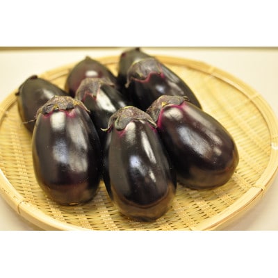 (6個入り)福田農園　泉州水なす(生)【配送不可地域：離島】【1716662】