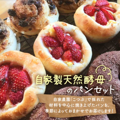 【15個入り】パン屋kotubuの自然の恵みのパンセット(大)【配送不可地域：離島】【1352138】